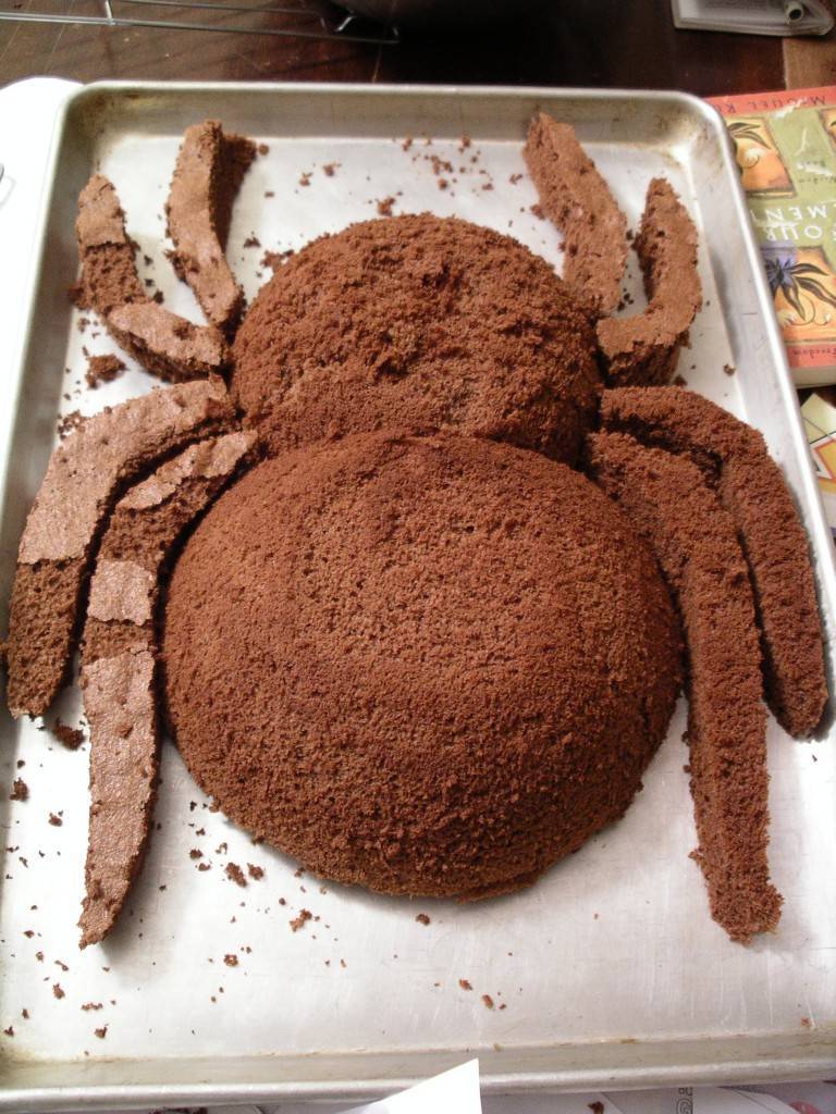 Chocolate spider cake recipe - Today's Parent
