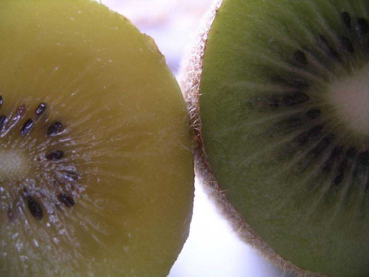 Golden Kiwifruit — Chef Heidi Fink