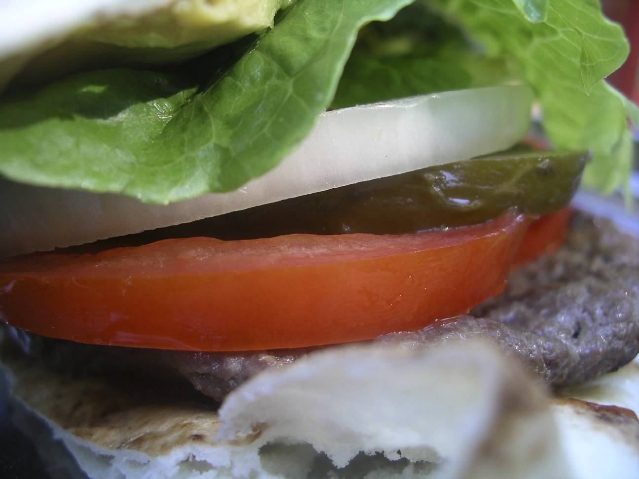 Camping Food Post One Bison Burgers Chef Heidi Fink