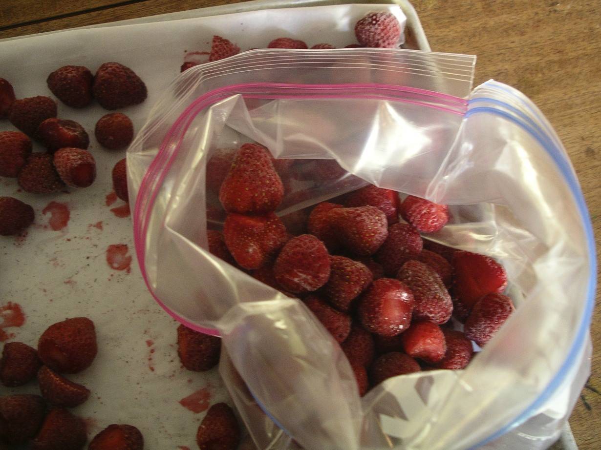 How To Freeze Summer Fresh Berries — Chef Heidi Fink