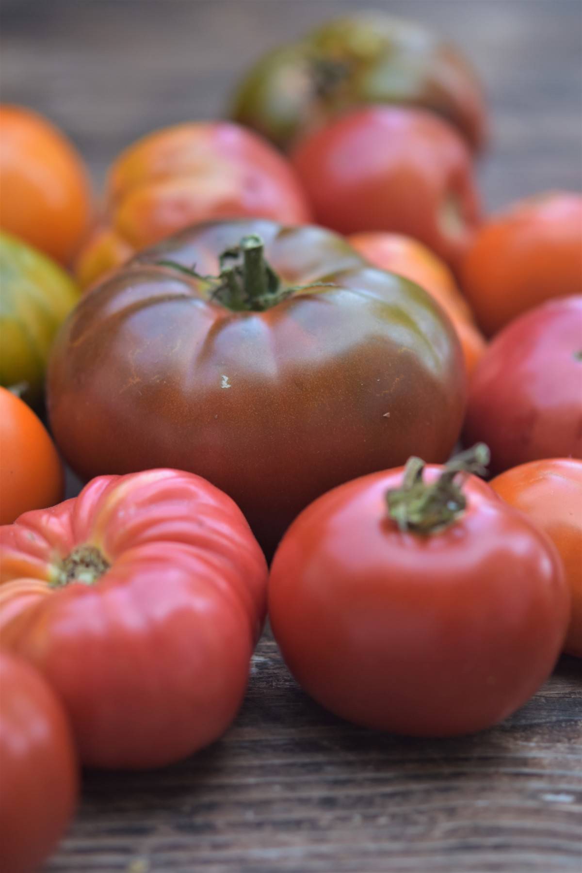 Gazpacho Andaluz — Chef Heidi Fink